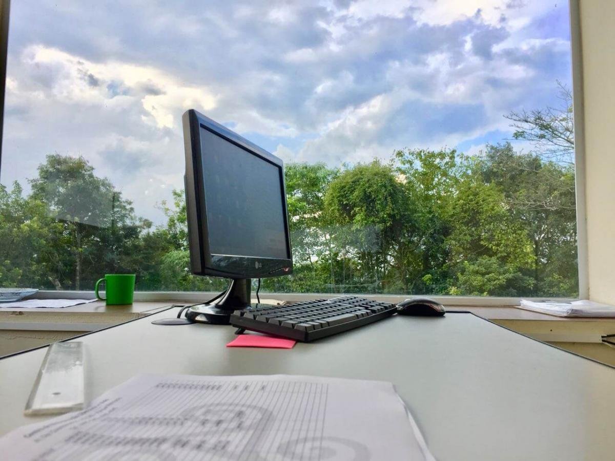 quaresmeiras - clinicas life